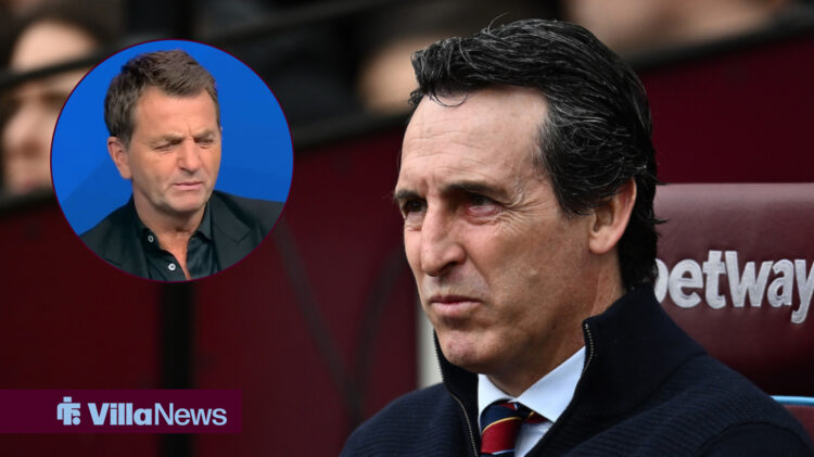 Aston Villa Unai Emery Tim Sherwood